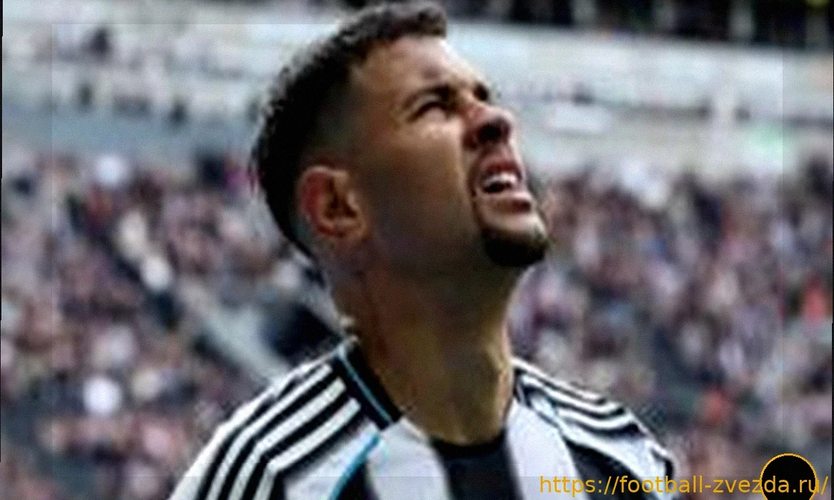 Как «бульдоги» Ньюкасла стали слишком мягкими